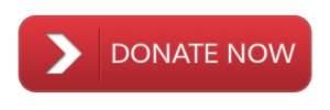 donate-button-png